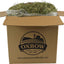 Oxbow Orchard Grass