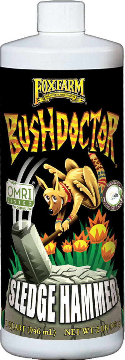 Bush Doctor Sledgehammer