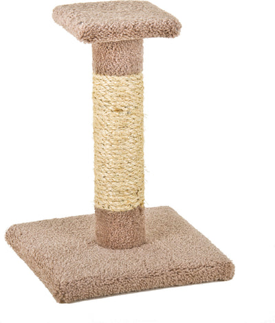 Kitty Cactus W/Sisal & Top