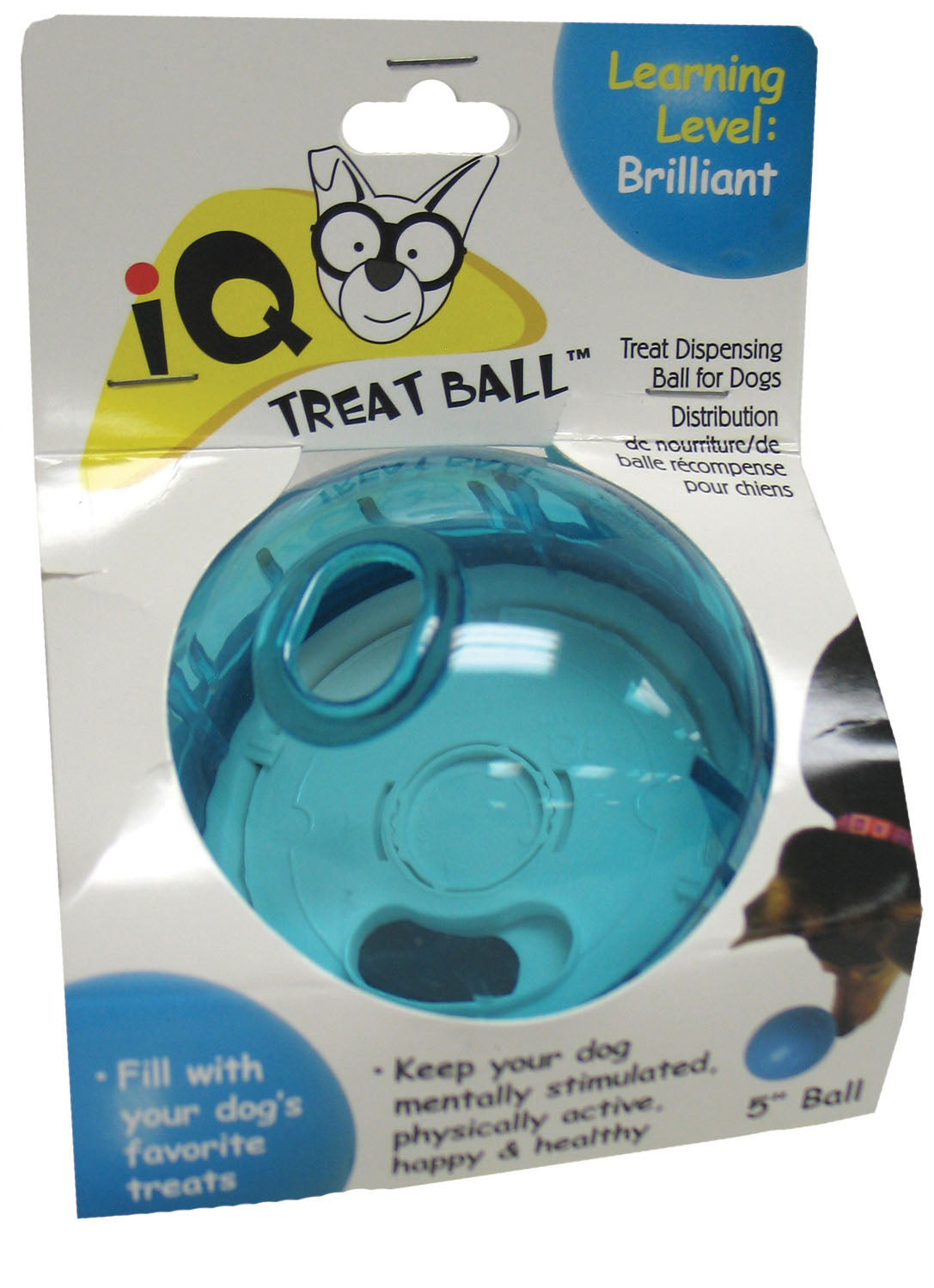 Iq Ball