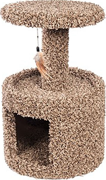 Kitty Condo W/ Perch