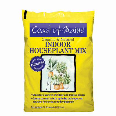 Indoor Houseplant Mix
