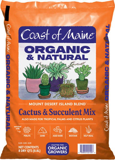 Mt Desert Island Cactus & Succulent Mix