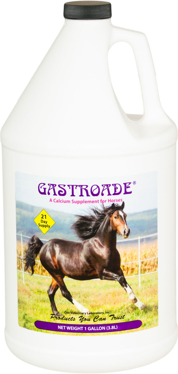 Cox Gastroade Calcium Supplement