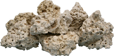 Coral Base Rock