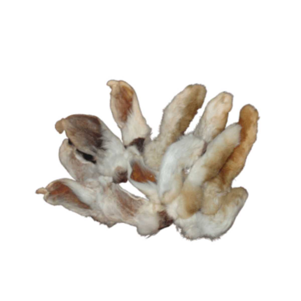 K9-Kravings Frozen 100% Green Tripe-5 lb Bag