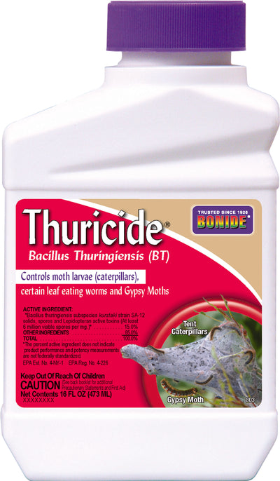 Bonide Thuricide Insect Control Concentrate