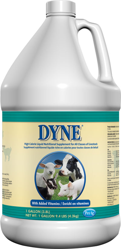 Dyne High Calorie Liquid For Livestock