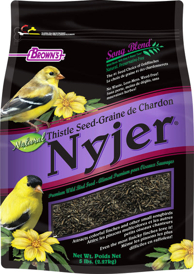 Song Blend Thistle Seed Nyjer