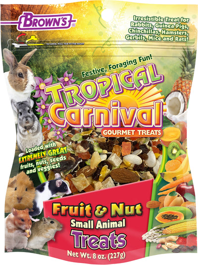 Tropical Carnival Fruit & Nut Small Animal Treats
