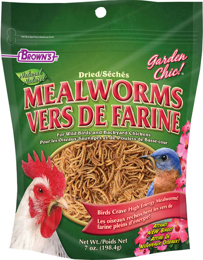 Garden Chic! Mealworms