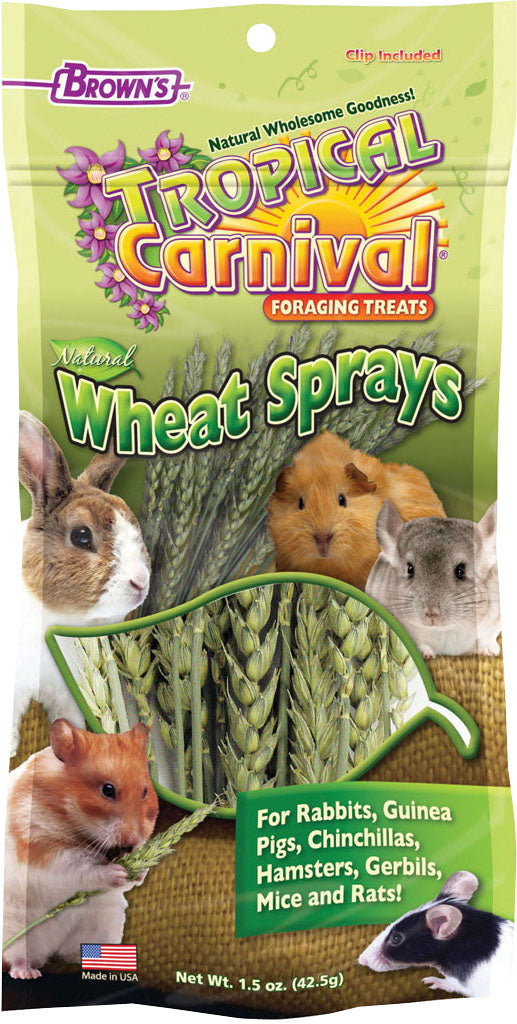 Tropical Carnival Sprays Foraging S.A. Treats