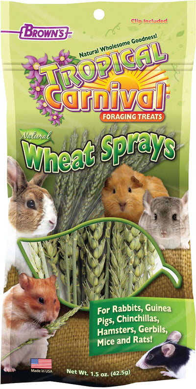 Tropical Carnival Sprays Foraging S.A. Treats