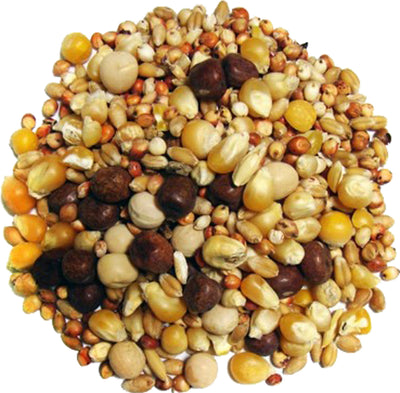 Breeder Small Corn Pigeon Food