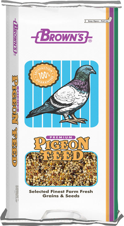 Developer Popcorn Pigeon Food