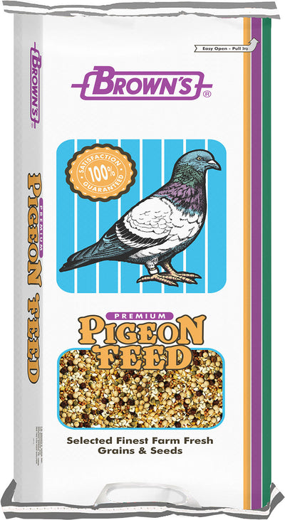Developer Kafir Pigeon Food