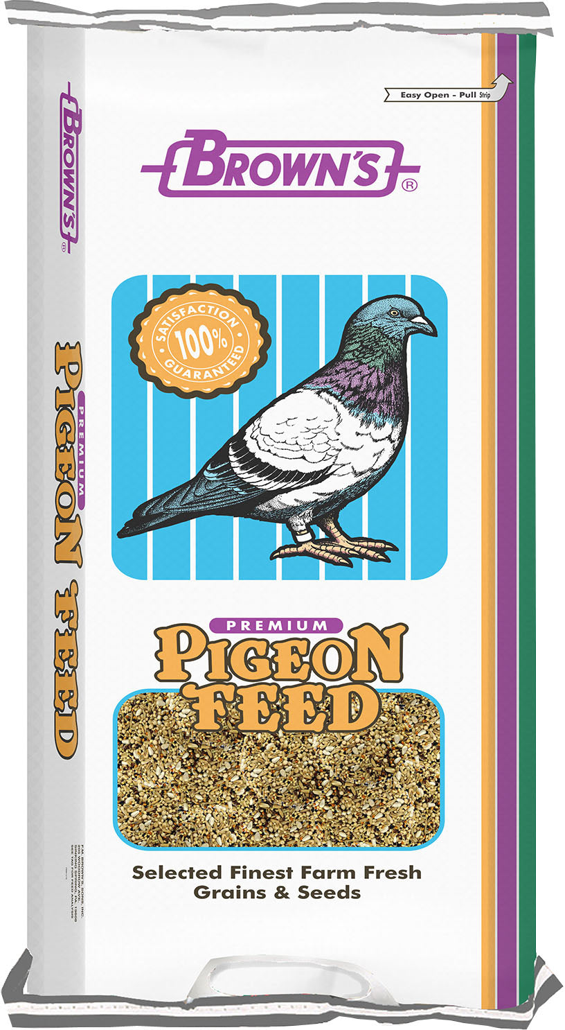 Bucket Of Gold Pigeon Food