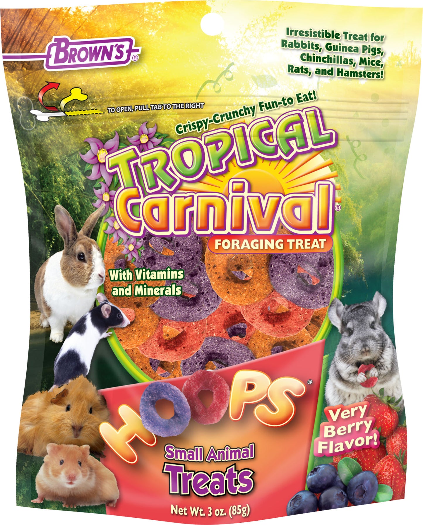 Tropical Carnival Hoops Small Animal Treats