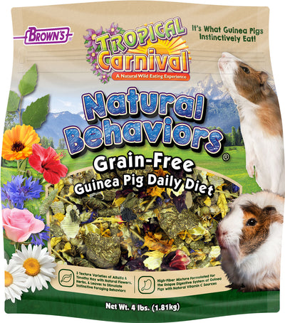 Tropical Carnival Natural Behaviors Guinea Pig
