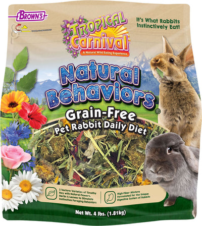 Tropical Carnival Natural Behaviors Rabbit