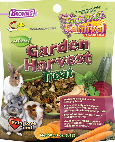 Tropical Carnival Natural Small Animal Treat
