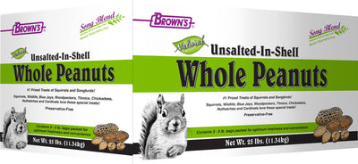 In-Shell Whole Peanut Box