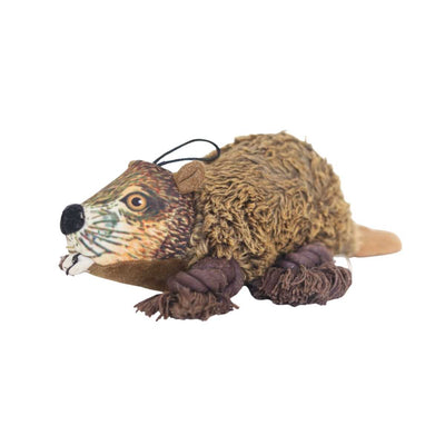 Close-up of a brown plush beaver toy with a black nose, white teeth, and a black string loop on top.