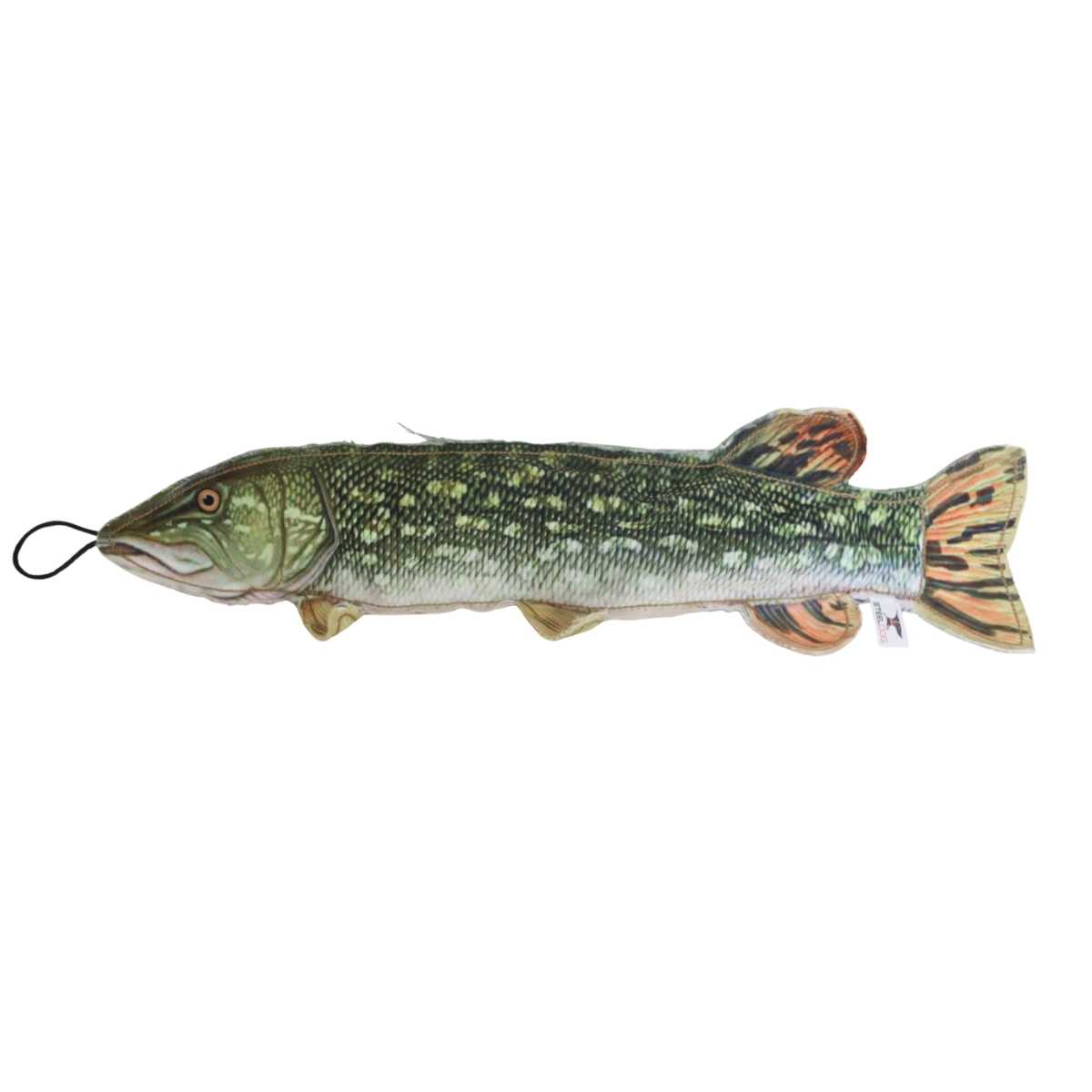 Steel Dog Freshwater Fish Northern