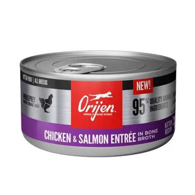 Front view of a silver can with red and purple label showing Orijen Chicken & Salmon Entrée in Bone Broth for kittens.