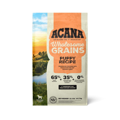 Front view of Acana Wholesome Grains Puppy dog food bag, 22.5 lb, orange and beige packaging with scenic landscape.