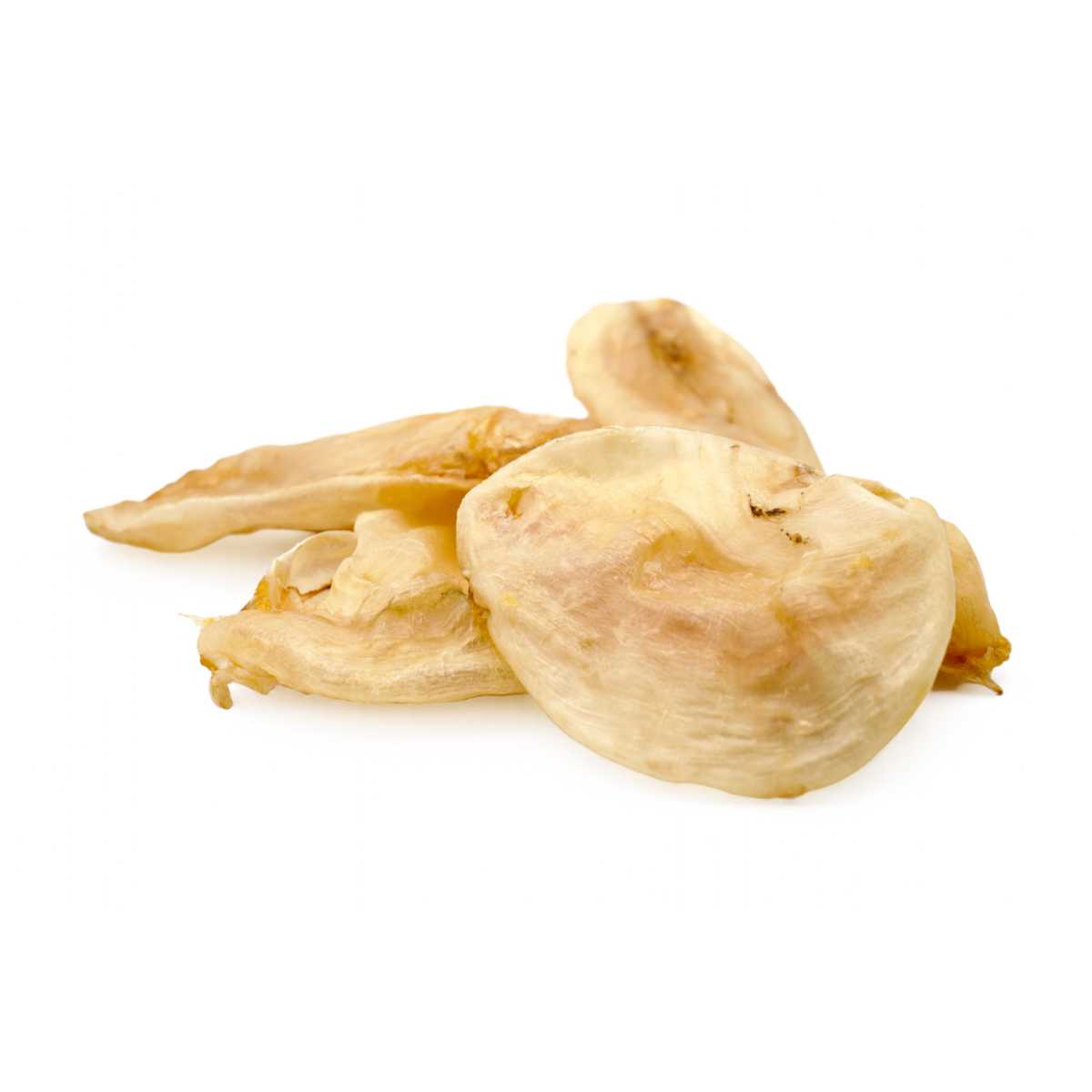 Gaines Carp Bladders 40 ct Bulk Bag