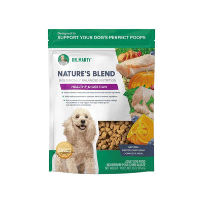 Front view of Dr. Marty's Nature's Blend freeze-dried raw adult dog food pouch, 16 oz, green and white packaging.