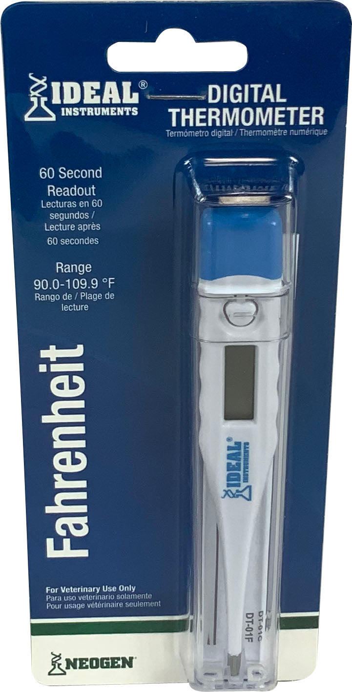 Digital Thermometer W/Hard Plastic Case