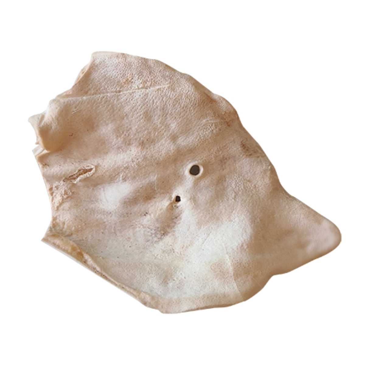 Bones & Co Freeze Dried Pig Ears BULK-18 ct Bag