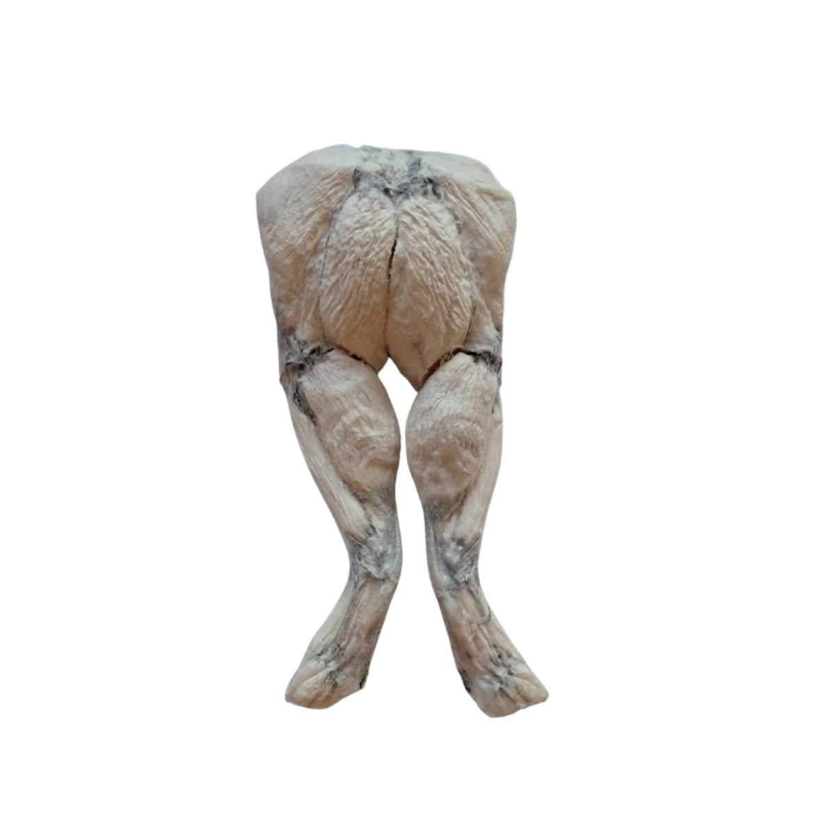 Bones & Co Freeze Dried Frog Legs Bulk 35 ct Bag