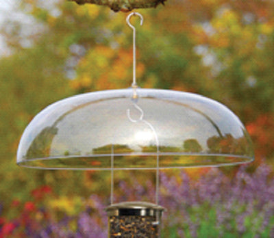 Clear dome-shaped bird feeder cover hanging from a hook with a seed-filled base, close-up view