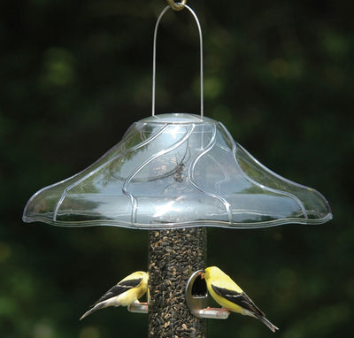 Clear dome bird feeder cover with two yellow birds perched on a seed-filled tube, front view.