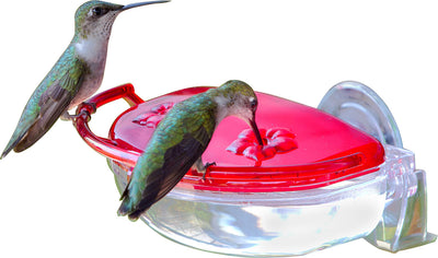 Gem Window Hummingbird Feeder