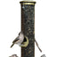 Quick-Clean Seed Tube Feeder