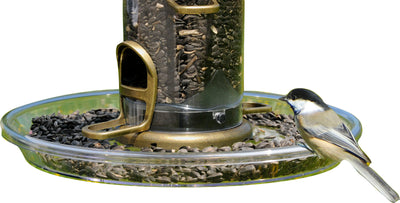 Clear plastic round seed tray with black sunflower seeds and a bird feeder, front view, close-up