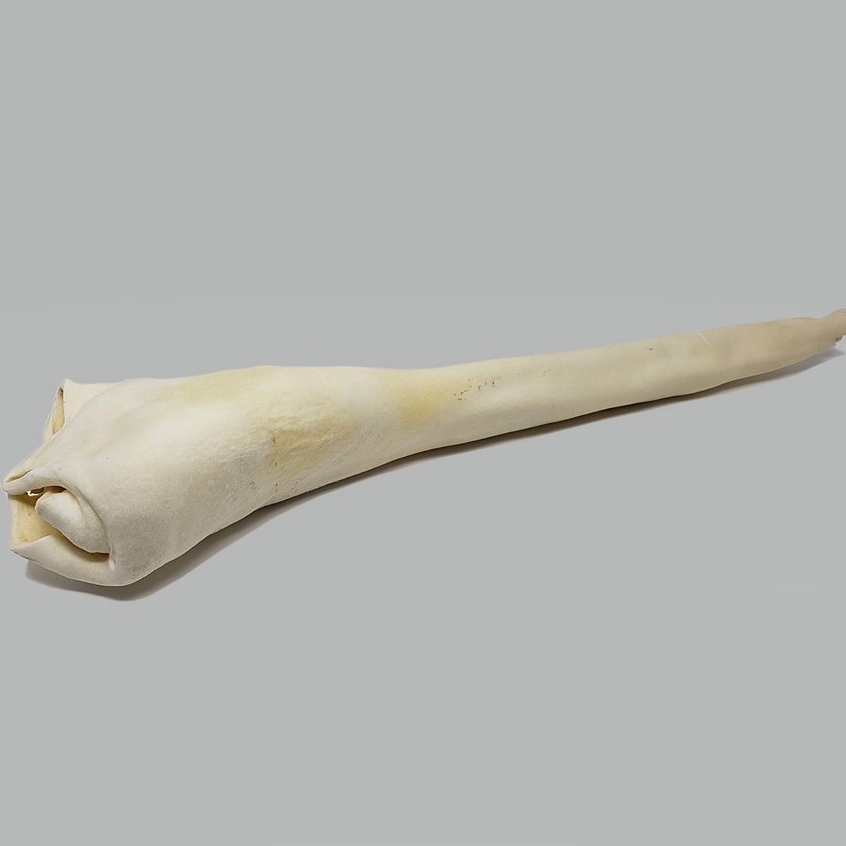 Home Range Full Length Bull Tails-20 ct