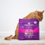 Stella & Chewyâ€™s Freeze-Dried Raw Cat Dinner Morsels - Grain Free, Protein Rich Cat & Kitten Food - Yummy Lickinâ€™ Salmon & Chicken Recipe - 8 oz Bag