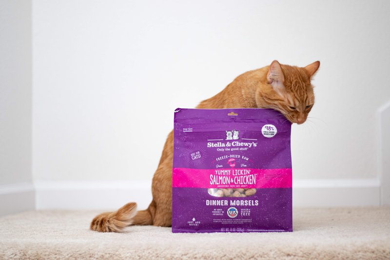 Stella & Chewyâ€™s Freeze-Dried Raw Cat Dinner Morsels - Grain Free, Protein Rich Cat & Kitten Food - Yummy Lickinâ€™ Salmon & Chicken Recipe - 8 oz Bag