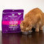 Stella & Chewyâ€™s Freeze-Dried Raw Cat Dinner Morsels - Grain Free, Protein Rich Cat & Kitten Food - Yummy Lickinâ€™ Salmon & Chicken Recipe - 8 oz Bag