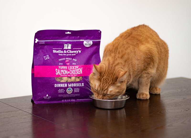 Stella & Chewyâ€™s Freeze-Dried Raw Cat Dinner Morsels - Grain Free, Protein Rich Cat & Kitten Food - Yummy Lickinâ€™ Salmon & Chicken Recipe - 8 oz Bag