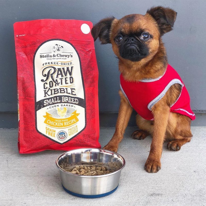 Stella & Chewy'S Raw Coated Small Breed Chicken Recipe Dog Food 3.5Lb