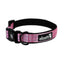 Alcott Adventure Nylon Collars