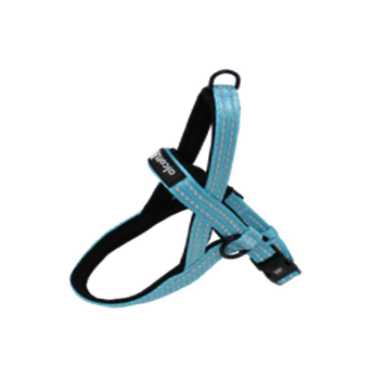 Alcott Norwegian Harness