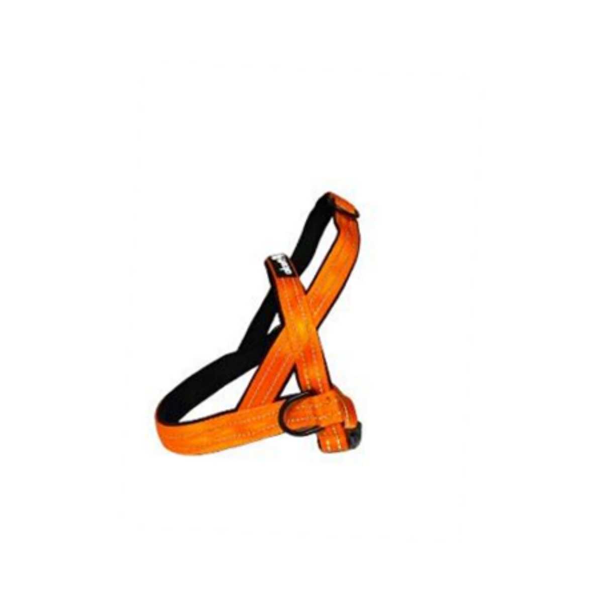Alcott Norwegian Harness