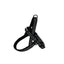 Alcott Norwegian Harness